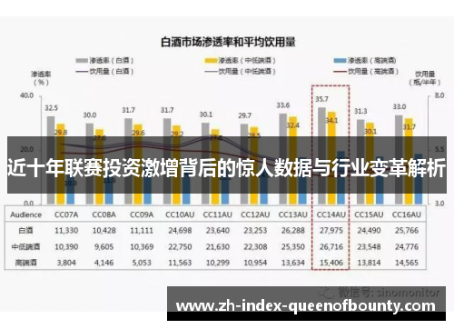 近十年联赛投资激增背后的惊人数据与行业变革解析
