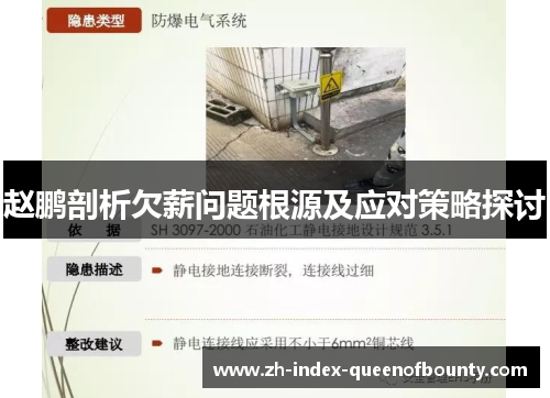 赵鹏剖析欠薪问题根源及应对策略探讨