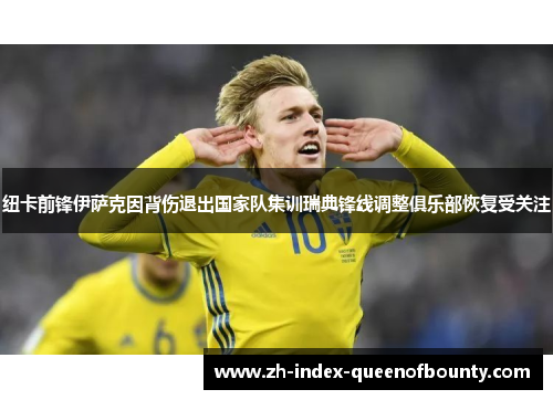 纽卡前锋伊萨克因背伤退出国家队集训瑞典锋线调整俱乐部恢复受关注